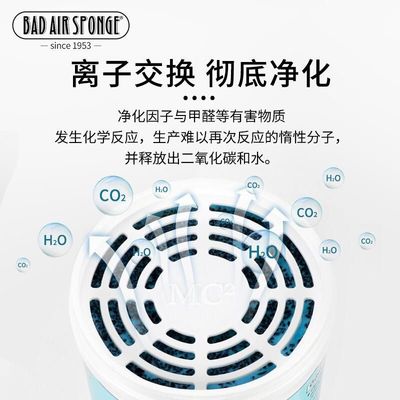 美国Bad Air Sponge空气净化剂净化新家装修新车污染400g-其他分类-Bad Air Sponge-洋码头