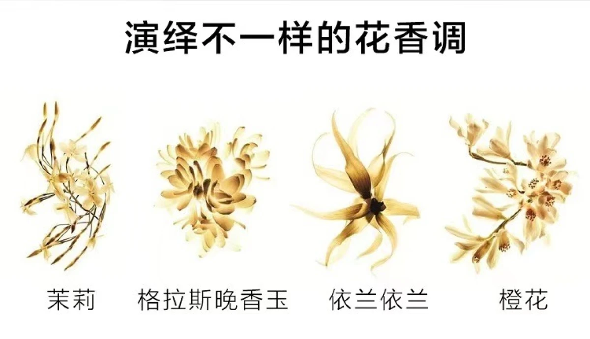 图片[2]-Chanel/香奈儿 嘉柏丽尔浓香水花香调 35毫升/50毫升/100毫升-穿范儿