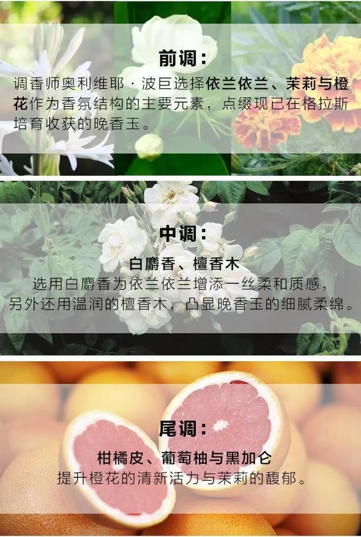 图片[3]-Chanel/香奈儿 嘉柏丽尔浓香水花香调 35毫升/50毫升/100毫升-穿范儿