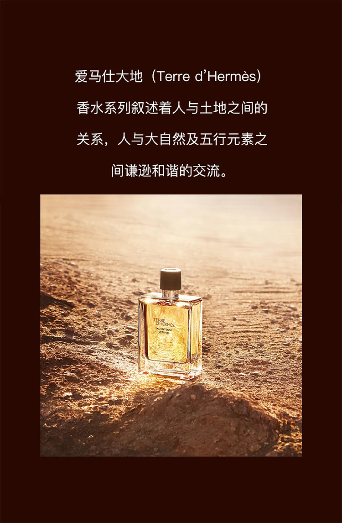 图片[2]-Hermes/爱马仕 大地馥郁香根草男士香水 EDP浓香水 50毫升/100毫升/200毫升-穿范儿