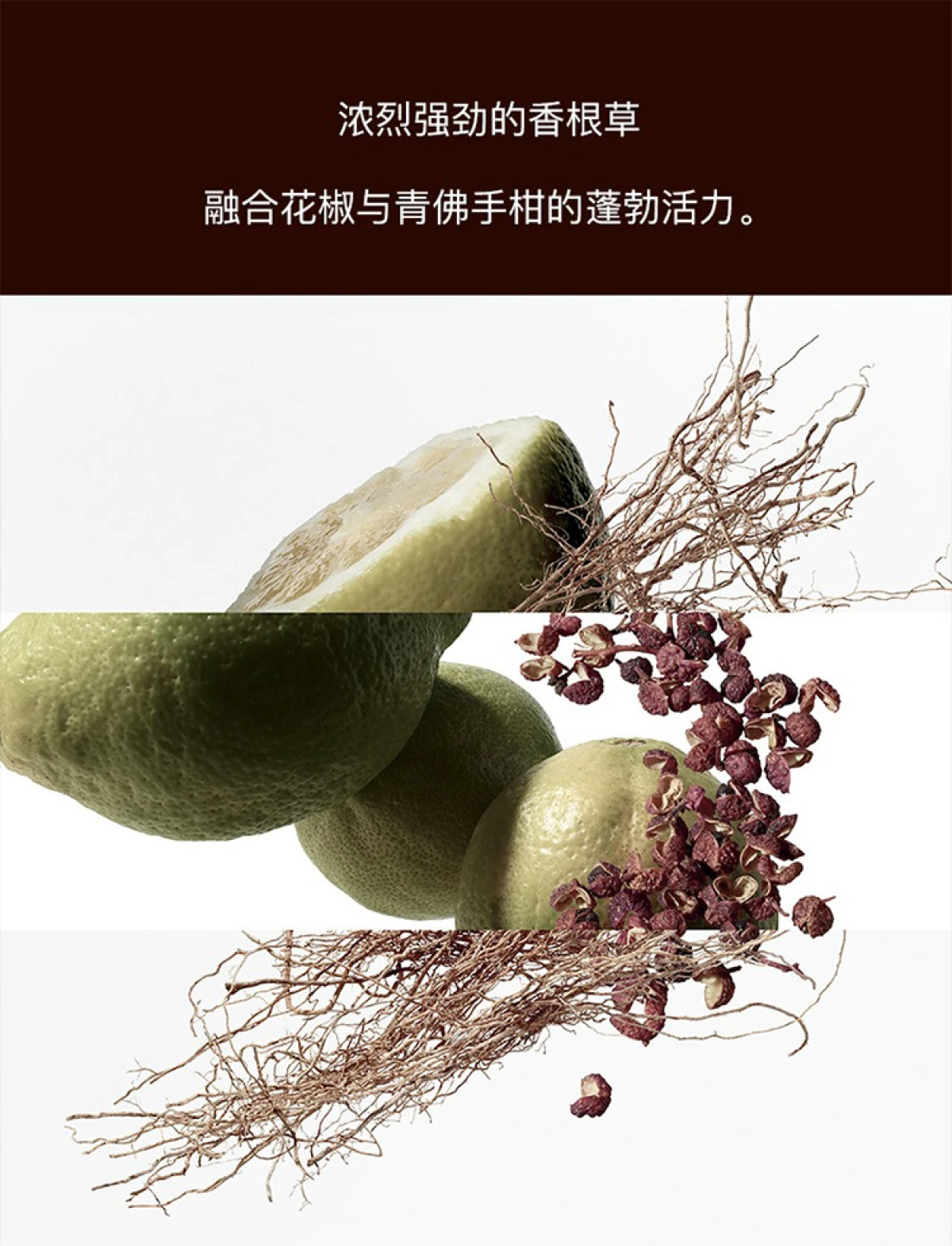 图片[4]-Hermes/爱马仕 大地馥郁香根草男士香水 EDP浓香水 50毫升/100毫升/200毫升-穿范儿