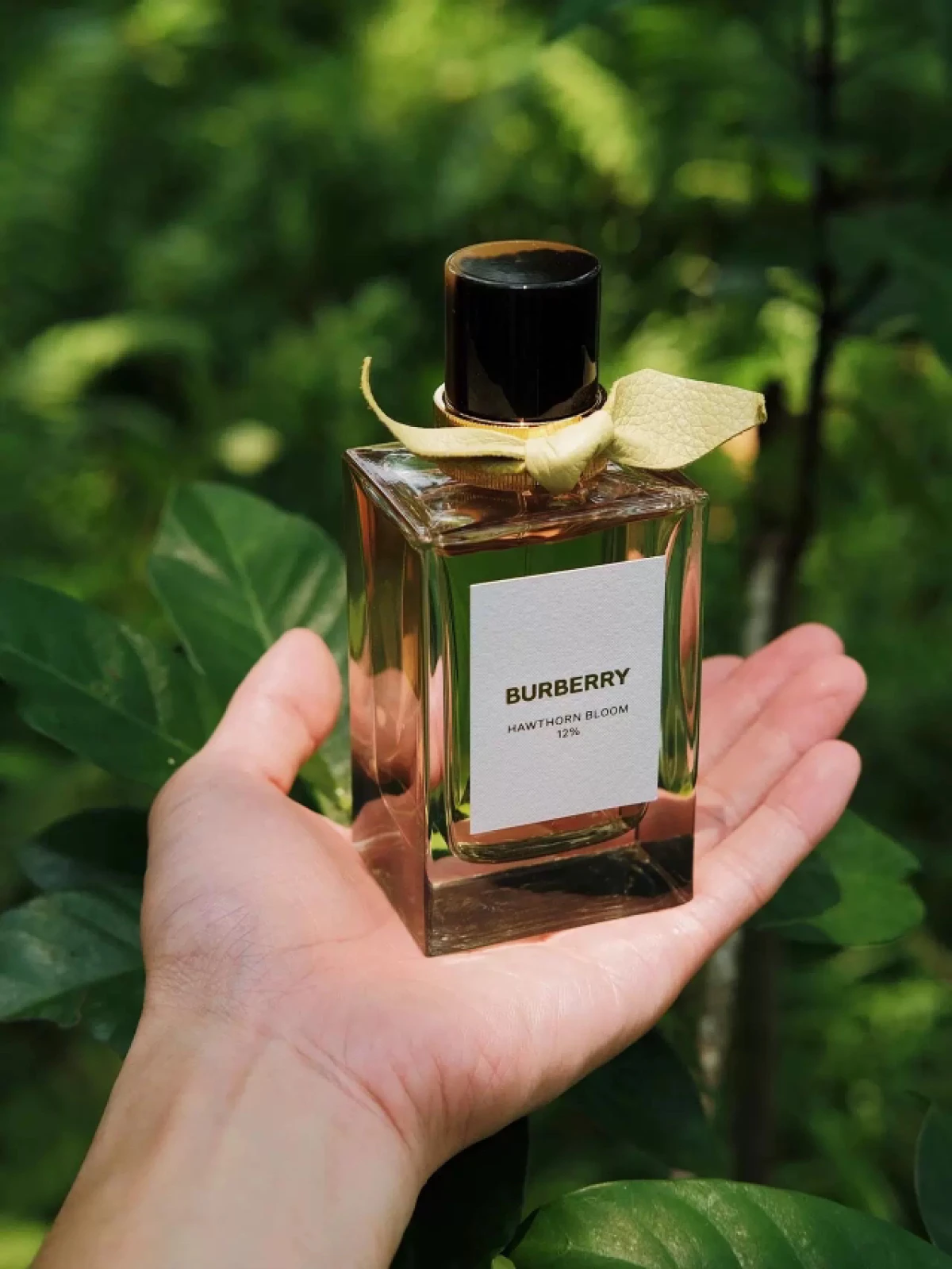 Burberry博柏利巴宝莉高定香水香氛山楂花庄园茶会未烬之花100ml正品