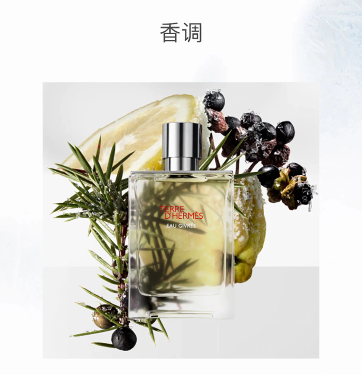 图片[2]-Hermes/爱马仕 大地泠洌之水香水霜冻大地浓香 50毫升/100毫升-穿范儿