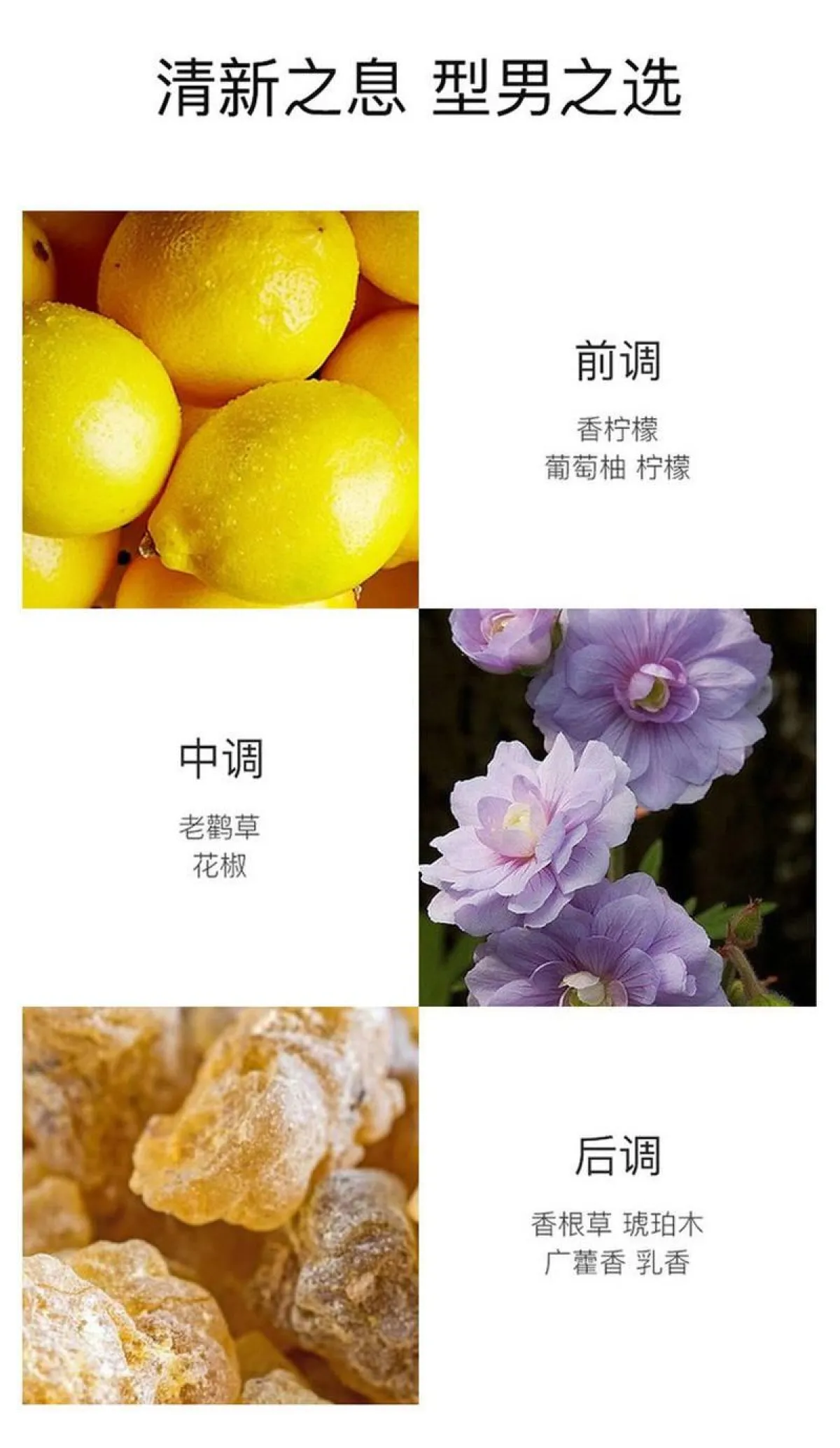 图片[5]-Hermes/爱马仕 大地馥郁香根草男士香水 EDP浓香水 50毫升/100毫升/200毫升-穿范儿