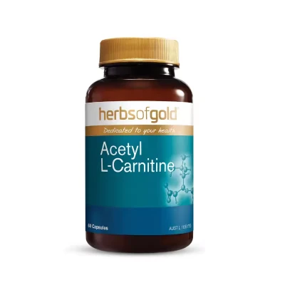 l carnitine female fertility L-Carnitine and Women's Health – Integrative Therapeutics®